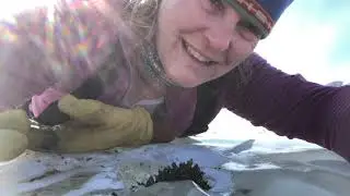 Microbial Mats