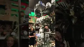 Rogers Gardens Halloween ￼ boutique. Full video coming tomorrow!🎃💀👻