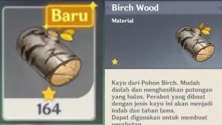 Birch wood location(farming route birch wood) - genshin impact
