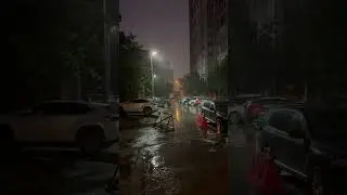 Красота