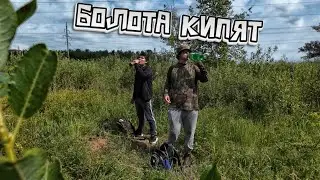 ЭТОГО НЕ УВИДИШЬ ИЗ ЭЛЕКТРИЧКИ! Тайные тропы. ЖАРА на БОЛОТЕ
