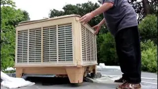 Peter D. files #8  