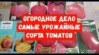 #обзорсортовтоматов