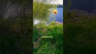 Нет ничего красивее нашей природы! Что скажете!? С Вас улыбка и хорошее настроение!