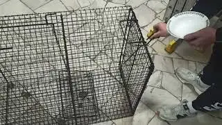 Работа Собаколовки