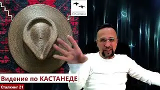 Видение Кастанеды