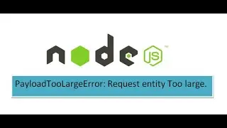 PayloadTooLargeError: request entity too large 