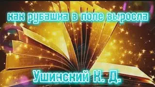 Ушинский К. Д. -Сказка о том, как рубашка в поле выросла.