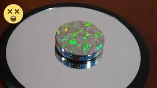 Euler's Disk Physics Toy ▶ Gadgetify