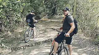 Прогулка по лесу