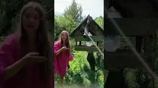Как привлечь птиц и шмелей?! #дача #огород #garden #помидоры #овощи #урожай #лето #сад
