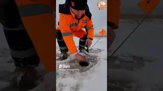 ПЕРВЫЙ ЛЁД.ЩУКА разматала жерлицу и попалась.#shorts #teamправильнаяподсечка