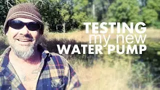 How I irrigate my food forest garden with no water
