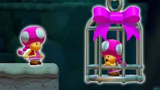 What if Toadette Rescues Caged Toadette? - Super Mario Maker 2 Mythbusters [#48]