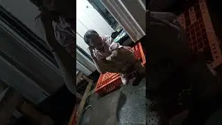 ប៉ាក់បុងរ៉ុងៗ