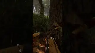 Day 38 - Building a Base Using 1 Log For Every 10 Followers!🚀 