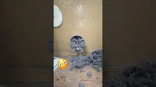 This Pipe was so Clogged we had to Clean it Twice! #oddlysatisfying #unclogging #vacuumtherapy