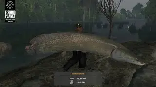 Fishing Planet - Monster Pirarucu fishing - BRAZIL MAP !!!