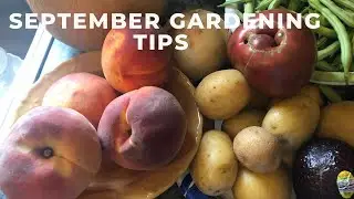 September Gardening Tips