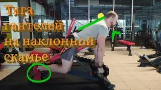 Тяга гантелей на наклонной скамье. Тяга гантелей с упором грудью в скамью. Техника выполнения