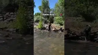 When the cows cross the creek, that means we have to also whether there’s a good way to or not 😂
