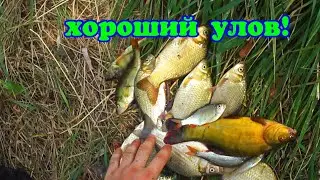 Рыбалка 🎣 готовлю Уху на вилле.