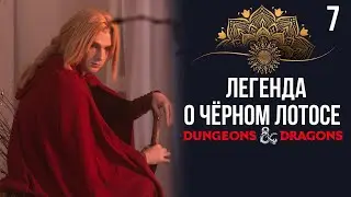Благими намерениями | DnD | Кампания: Легенда о чёрном лотосе | 7 серия | Dungeons & Dragons