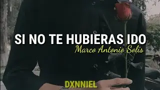 Si No Te Hubieras Ido; Marco Antonio Solis // Letra