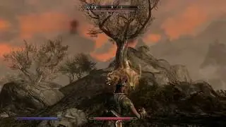 Skyrim - Meeko may just be a ghost.