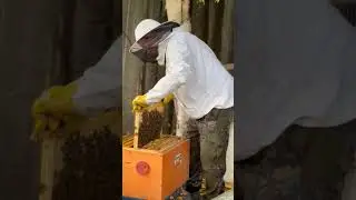 подготовка к зиме