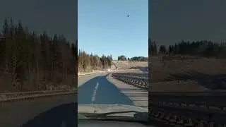 поездка на испытание собак норных пород РОРС по барсуку в П- образной норе🦡 Рыбалка охота ягдтерьер🦡
