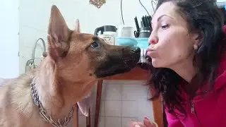 🐶8 Марта//🐶Джек всех покорил 👏👏