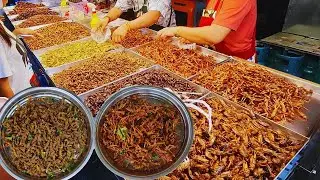 Exploring the Exotic Delights of Cambodia: Delicious Cricket Fried and Locust Fried Street Food