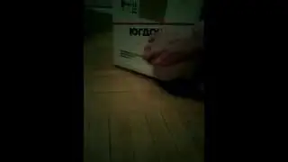 КОТ КОРОБОЧНИК