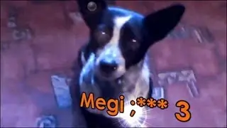 Megi ;*** 3