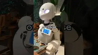 Japan's Best Robot Restaurants