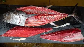 MONSTER Bluefin Tuna *CLEAN & COOK* ft. Outdoor Chef Life