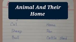Animal And Their Home || Home Of Animals