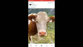 How to post 3D photos on Facebook? (Quick guide)