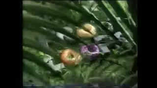 "Sagwa, the Chinese Siamese Cat" closing funding credits: Kellogg's Froot Loops / CPB (2001-2002)