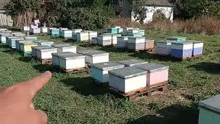 Снова на те же грабли 😟. Сложный сентябрь 2023.