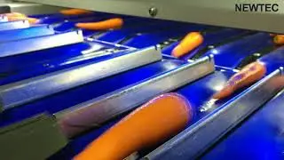Newtec Optical Sorting Machine, Model, Celox-C-UHD