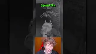 VOS LO ATENDERIAS 4 A M