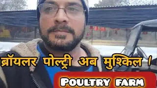 ब्रॉयलर पोल्ट्री अब मुश्किल I poultry farm 