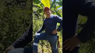 Hay escasez de obreros.