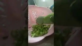 parrot on funk of galactico #parrot #birds #funny #funk