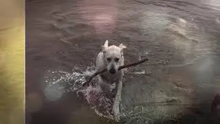 Ральф