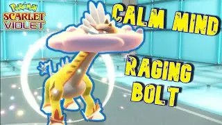Is Calm Mind Raging Bolt Still Good? | Pokémon Scarlet and Violet VGC 2024