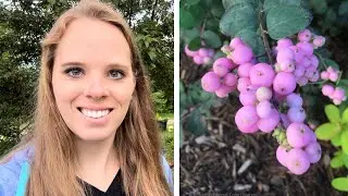 Planting Proud Berry Coralberry! My dream plant! | Simply Bloom