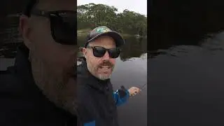 Spinning tailor on the TT Hard Core metal lure. #fishing #tailor #ttfishing #lurefishing #shorts